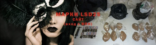 PSILOCYBIN Елабуга