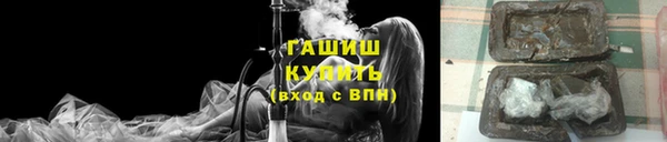 ГАЛЛЮЦИНОГЕННЫЕ ГРИБЫ Ельня