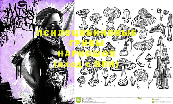 PSILOCYBIN Елабуга