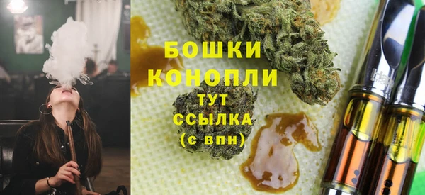 ГАЛЛЮЦИНОГЕННЫЕ ГРИБЫ Ельня