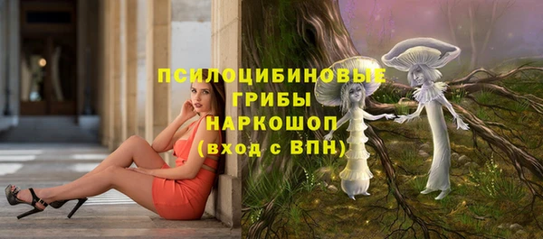 ГАЛЛЮЦИНОГЕННЫЕ ГРИБЫ Ельня