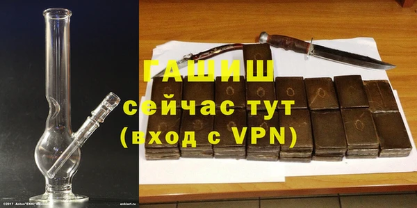 ГАЛЛЮЦИНОГЕННЫЕ ГРИБЫ Ельня