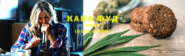 ГАЛЛЮЦИНОГЕННЫЕ ГРИБЫ Ельня